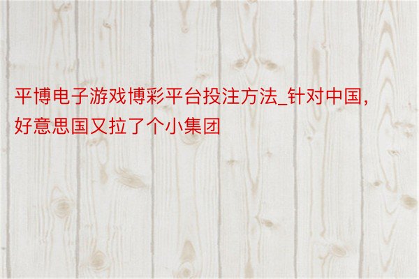 平博电子游戏博彩平台投注方法_针对中国，好意思国又拉了个小集团